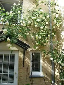 Hotel Ter Duinen Bruges